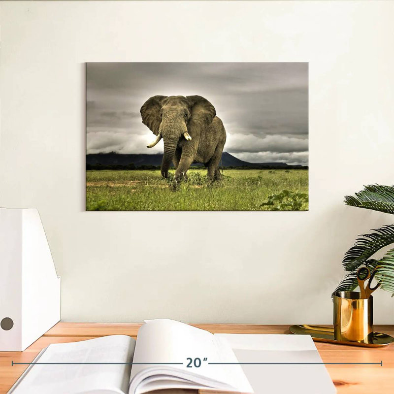 Paysage d'éléphants Brampt, H 8 po x l 12 po