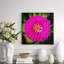 Bloom Print by Ted Glasoe