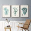 Ensemble de 3 pièces encadrées sur toile Antique Coastal Coral X-97760424-97760429