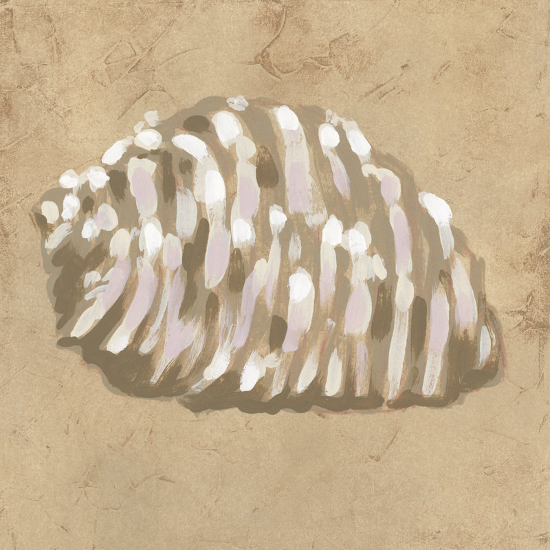 Tandis Earthtone Shell III by June Erica Vess - Wrapped Canvas Print, 30 cm H x 30 cm W