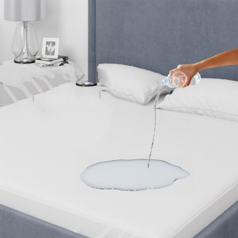 Chused Mattress Protector Case Pack