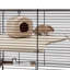 Hamster Cage