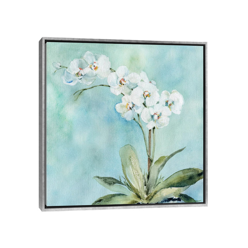 Orchidée ensoleillée par Carol Robinson-impression, Pas de tapis, H 18 po x l 18 po x 1,5 po, Toile avec cadre argenté