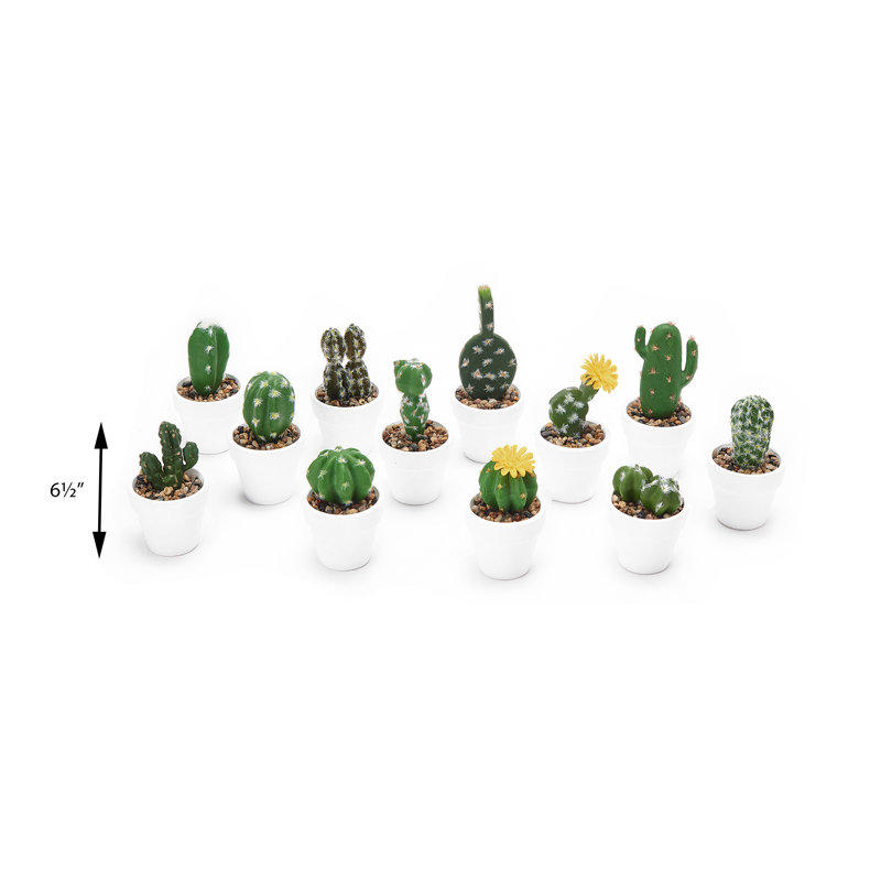 12 plantes grasses artificielles en pot