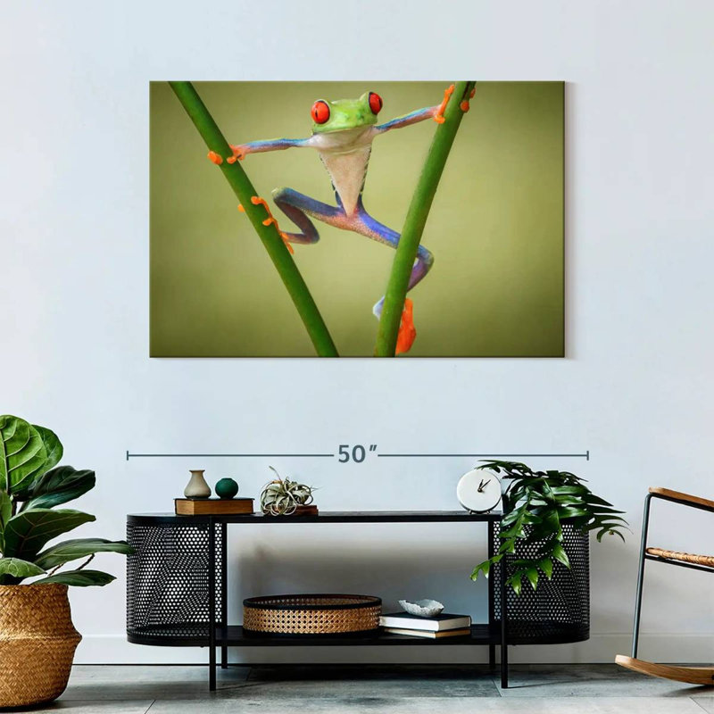 Frog Show Off, 30" H x 45" W