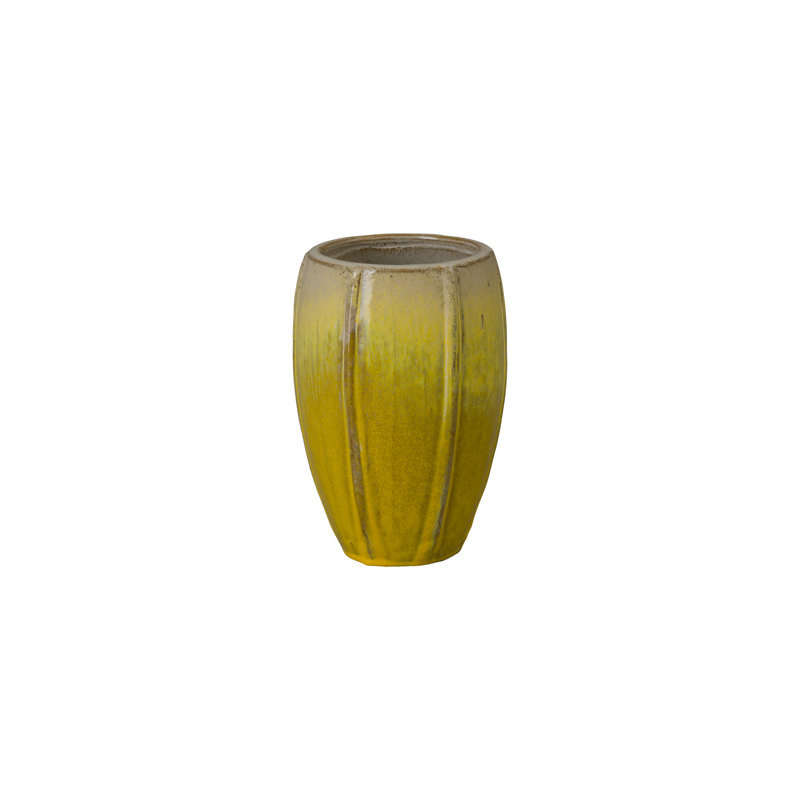 CREST PLANT, NEIGE, Jaune, H 10,5 po x l 7 po x P 7 po