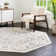 Hilley Oriental Indoor Rug