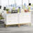 31.49-Inches Modern White & Gold 2-Drawer Lateral File Cabinet