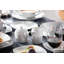 Aloma 86 Piece Dinnerware Set, Service for 12