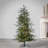 Haileyrose 5' Pre-Lit Pine Christmas Tree
