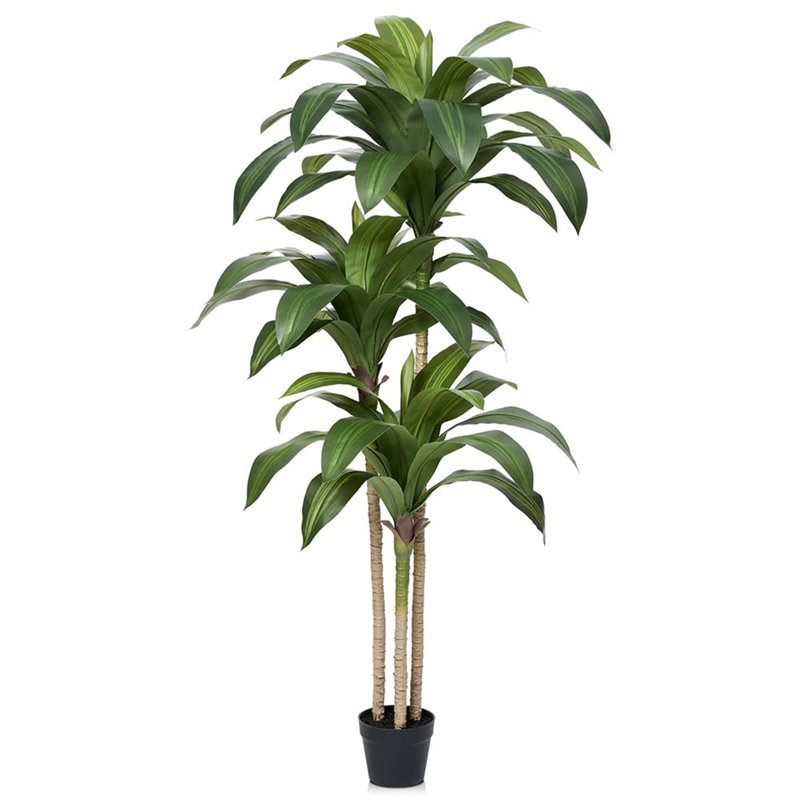 152cm Tree