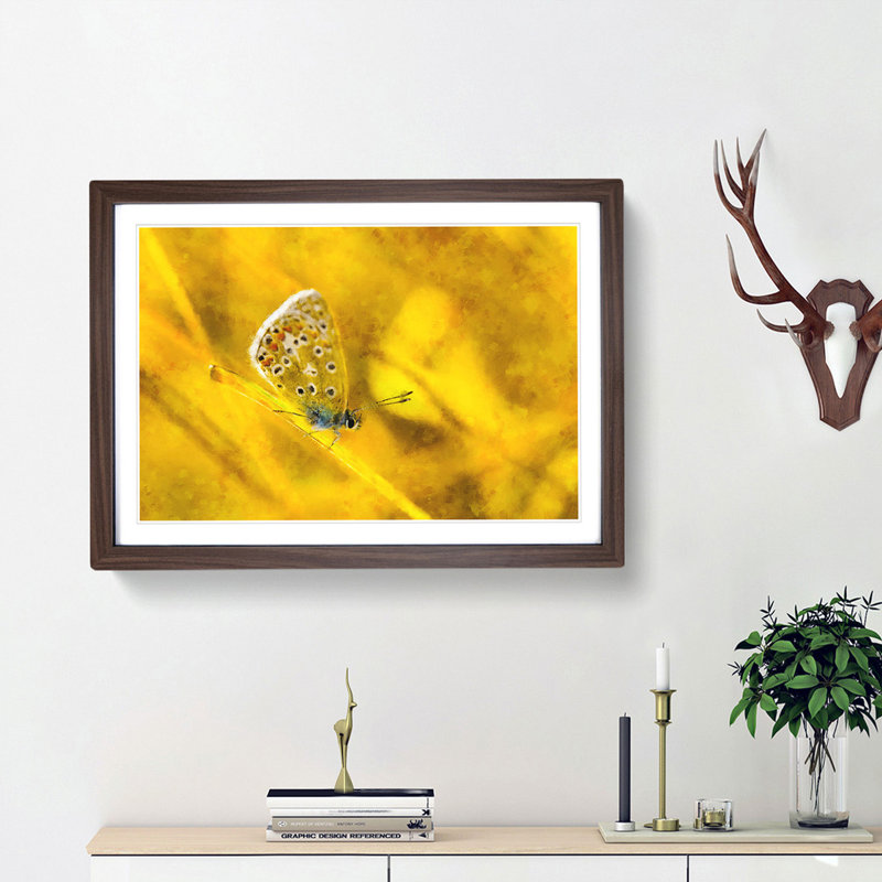 Yellow Butterfly - Picture Frame Painting Print, Walnut Framed, 62cm H x 87cm W x 2cm D
