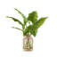 Philo Leaves in Jute Wrapped Glass Vase