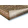 Treanor Oriental Indoor Rug