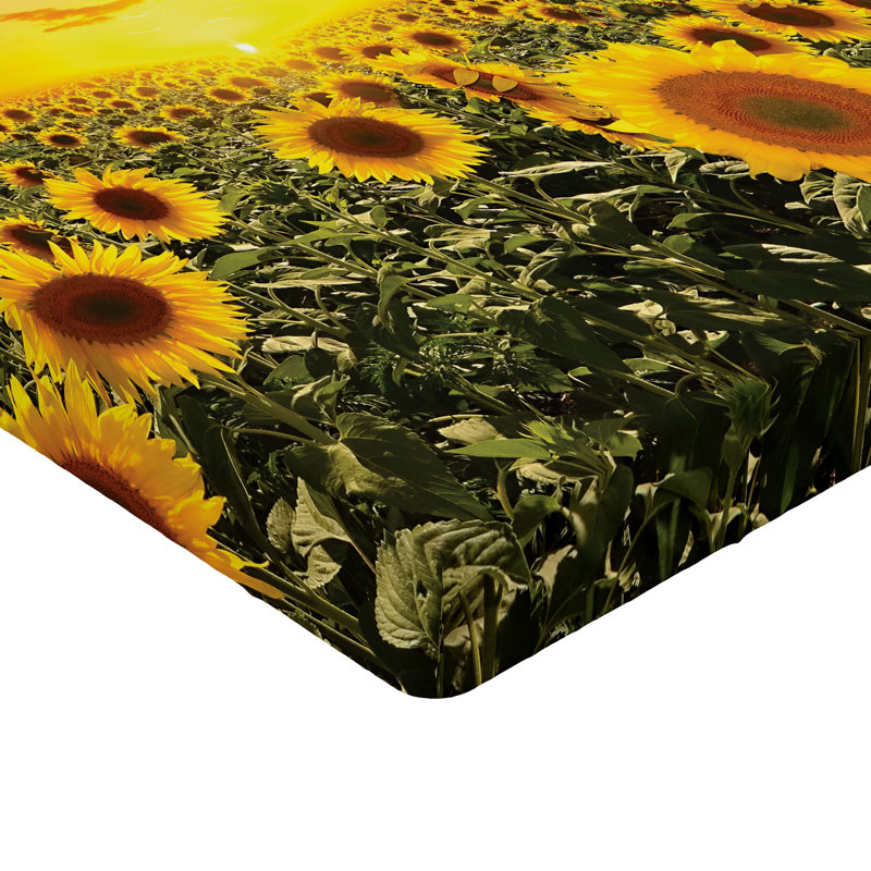 Ensemble de 2 draps-housses Ambesonne, Vert, jaune / floral, Drap-housse grand