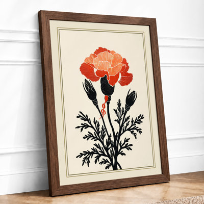Carnation Study Botanical - Framed Print