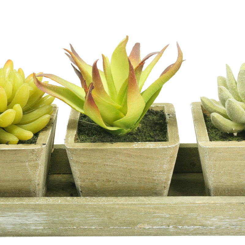 Arrangement de plantes grasses artificielles en pot de bois