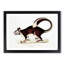 Large-Tailed Squirrel Illustration by John Edward Gray - Picture Frame Painting Print-55581997-55582000