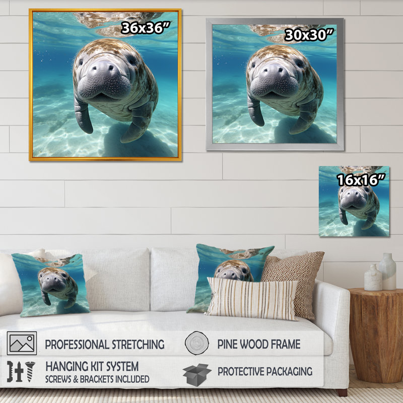 Curious Manatee Gaze I - Art mural lamantin, Cadre flottant blanc, H 30 po x l 30 po x P 1,5 po