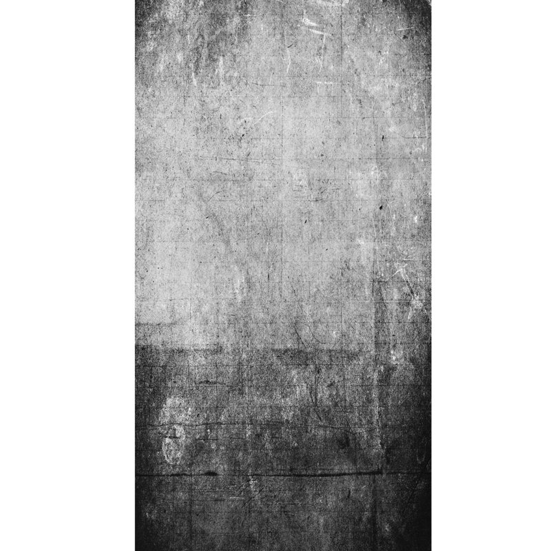 Tapis noir / gris en polyester tissé à la machine Rigoberto, Tapis de couloir 2 pi 7 po x 9 pi 10 po