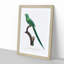 Long-Tailed Parakeet by F. Levaillant - Framed Print-55577266-55577267
