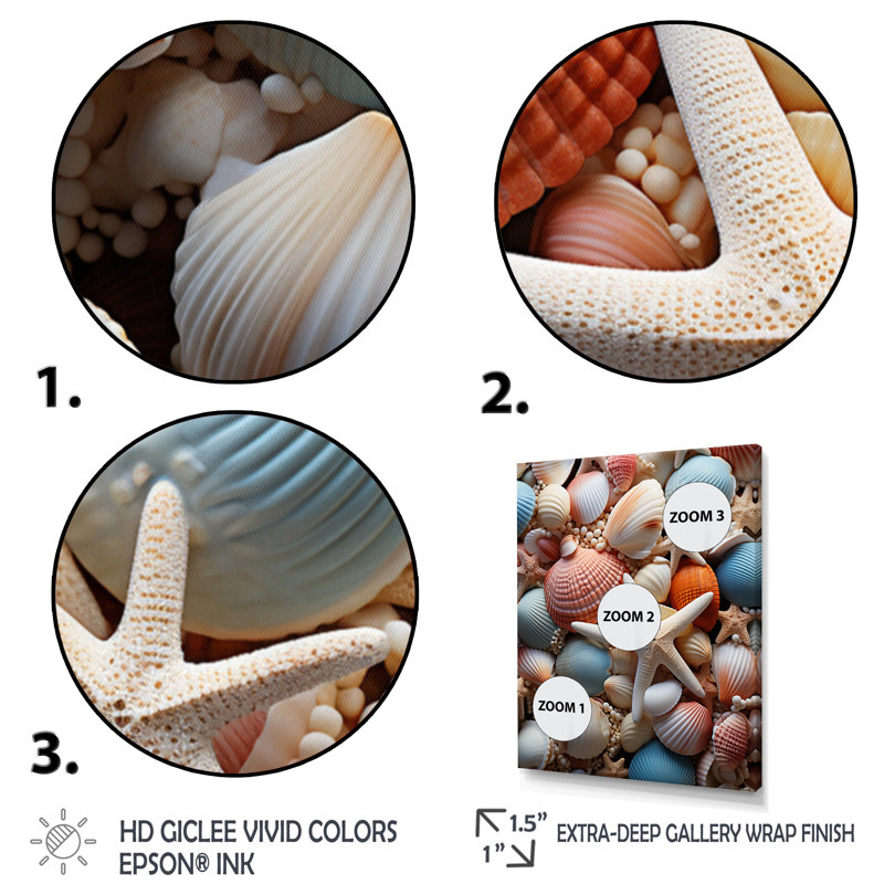 «Beach Photo Seashell Symphony X», reproduction sur toile, H 32 po x l 24 po x P 1 po, Cadre photo noir