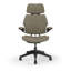 Freedom Headrest Ergonomic Task Chair - Autumn-1383268624