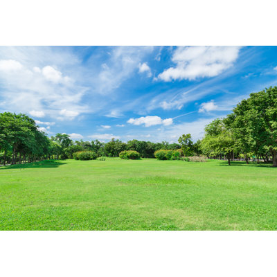 «Green Grass Field» par Kinwun - photographie sur toile tendue