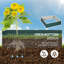 Lit de jardin surélevé