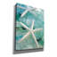 «Seaglass 1» par Alan Blaustein, impression sur toile giclée sur toile-86849851