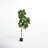 Faux Fiddle Leaf Fig Tree in Planter-984019241