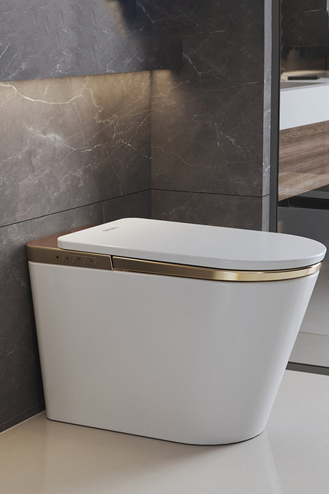 Shop Smart Toilets