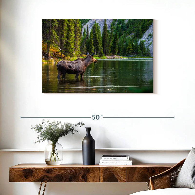 Brampt Bathing Alaskan Moose, 24" H x 36" W
