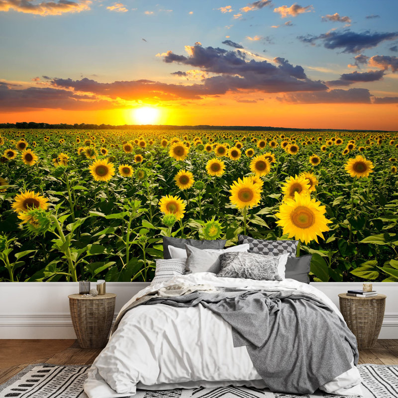 Champ de tournesols sur fond de champ auto-adhésif Sunset, L 66 po x l 96 po