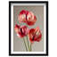 Crimson Silk Veins II Print by Oliver Gal-17287990-17287991