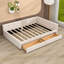 Upholstered Daybed with Built-in USB Ports and 2 Storage Drawers-106490990