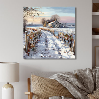 " Vineyard Winter Scenery "