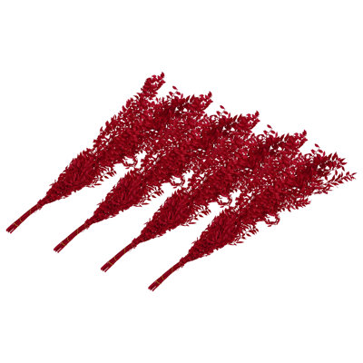 Dried Preserved Ruscus Butcher's Broom -50 g/Bunch x 4 PACK