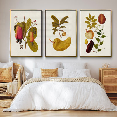 " Belle Bauce " 3 - Pieces