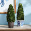 Alby Faux Plant-627489289