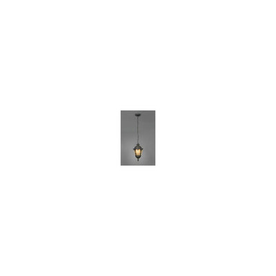 Tiana Outdoor Hanging Lantern