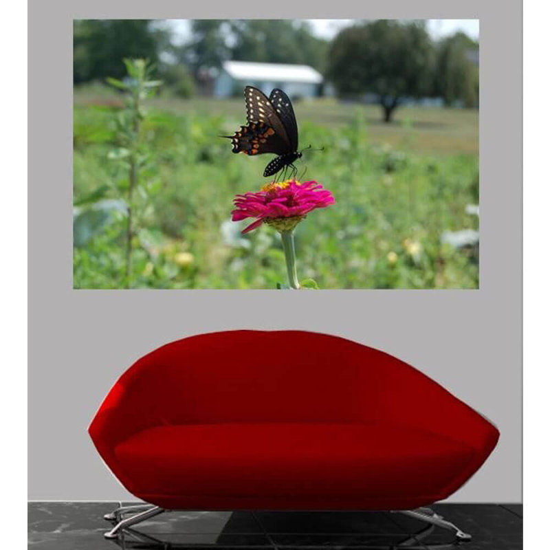 Décalcomanie murale papillon, 16 po x 24 po
