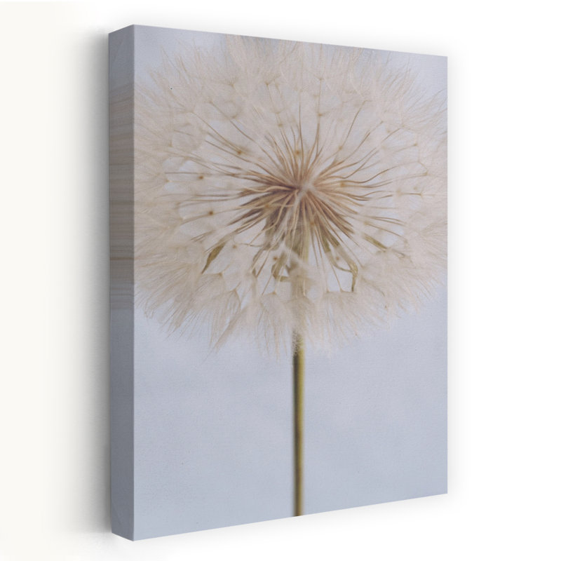 Art contemporain contemporain abstrait délicat pissenlit fleur nature, H 48 po x l 32 po