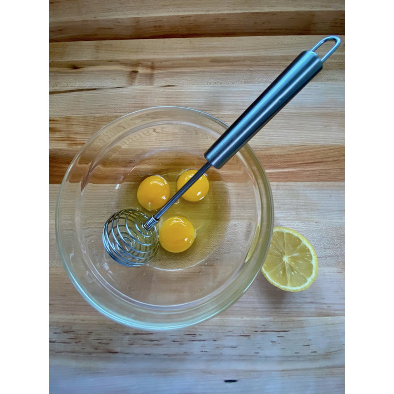 Spring Head Whisk 10"