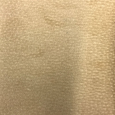 Cut Velvet | Liam Fabric_LIAM