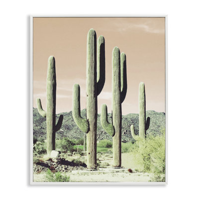 Scène de cactus au lever du soleil, estampe numérique encadrée par Susan Bryant bh-885