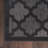 Adianey Red Barrel Studio Easy Care Trellis Charcoal/Black Indoor/Outdoor Area Rug-2053643127