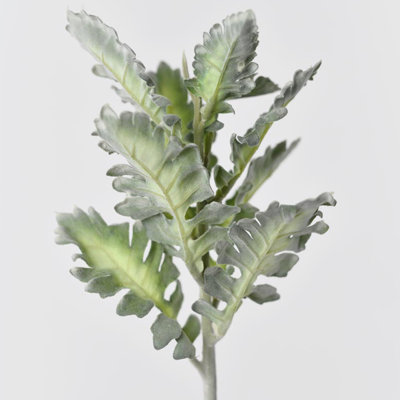 Audet vert faux Senecio Cineraria (1 tige)