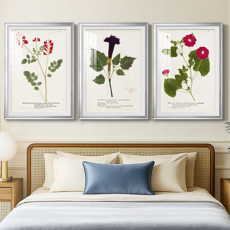 Nature Printed Botanicals III - reproduction sur mesure encadrée de qualité supérieure - 3 pièces, Argent argent