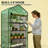 Small Portable Greenhouse,Mini Greenhouse-128848371